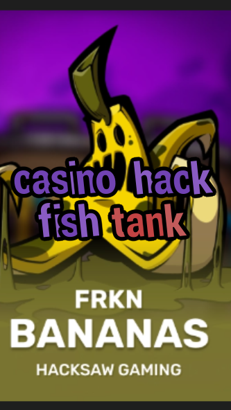casino hack fish tank-3xn3u5udepyz9m9w5iat.com